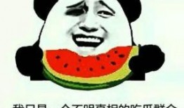 盐城网红吃瓜群众是谁啊,揭秘盐城网红“吃瓜群众”背后的故事