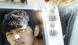 卧底在线观看,揭秘潜伏背后的生死较量